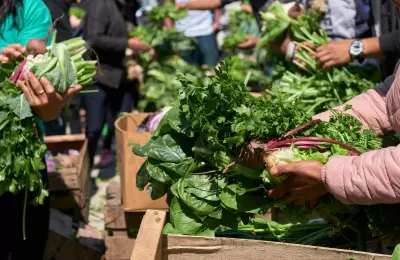 Produits locaux, nutrition, durable, sain, manger, santé