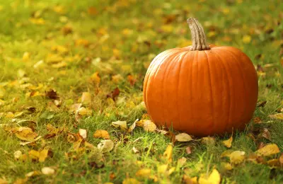 Citrouille, bienfaits, vitamines, minéraux, santé, poids, digestion, antioxydants